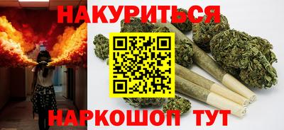 шишки Аргун