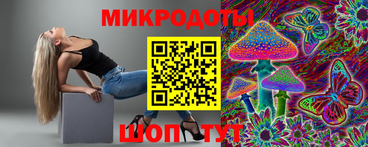 Псилоцибиновые грибы Psilocybine cubensis Кашира