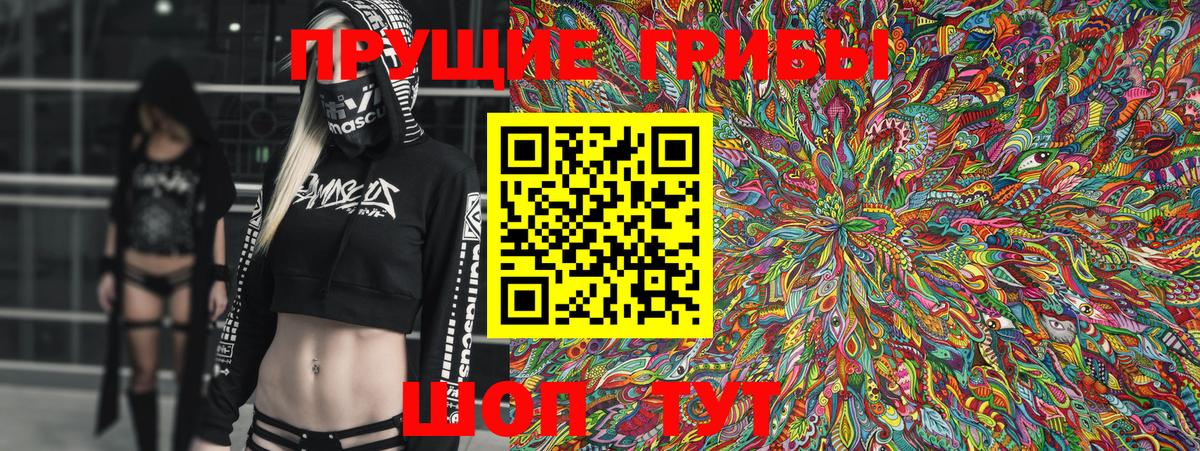 Псилоцибиновые грибы Psilocybine cubensis  Кашира 