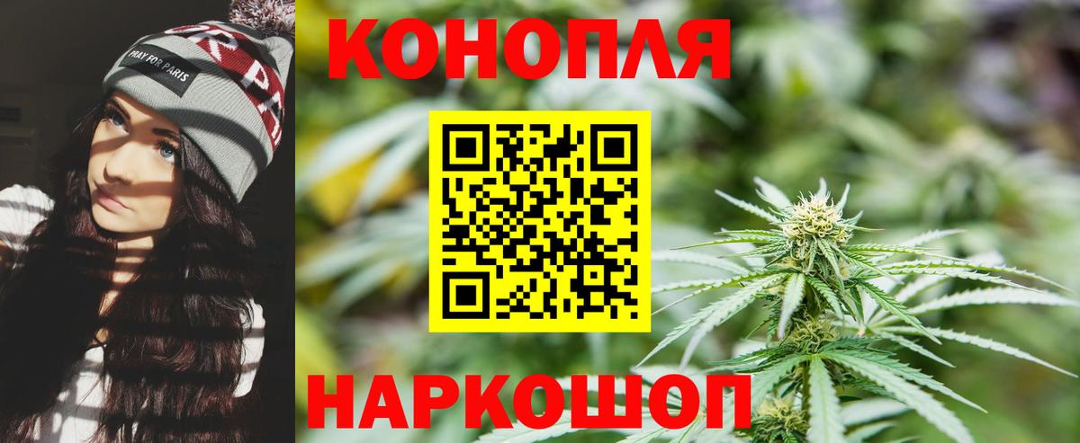 Кашира  Бошки Шишки конопля  Вход с VPN  Марихуана семена  Марихуана Bruce Banner  Канабис индика 